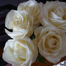 Схема вышивки «Розы белые»