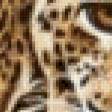 Предпросмотр схемы вышивки «Гепарды» (№986612)
