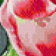 Предпросмотр схемы вышивки «тюльпаны в вазе» (№989146)