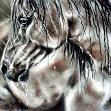 Схема вышивки «лошадь под дождём»