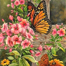 Схема вышивки «Серия "Цветы и бабочки"»