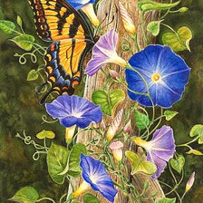 Схема вышивки «Серия "Цветы и бабочки"»