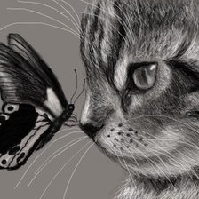Схема вышивки «котёнок и бабочка»