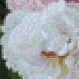 Предпросмотр схемы вышивки «цветы» (№1002857)