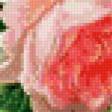 Предпросмотр схемы вышивки «Винтажные розы» (№1006295)