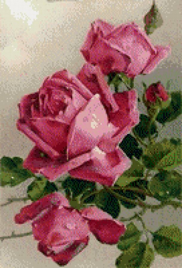 Розовая мечта - розы, цветы, ретро, букет, винтажные розы, винтаж, розовые розы - предпросмотр