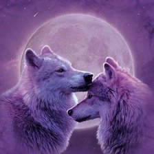Схема вышивки «Волки при луне»