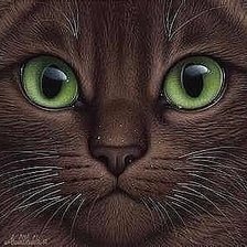 Схема вышивки «Кошка бусая. Зеленые глаза.»