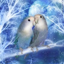 Оригинал схемы вышивки «Зимние попугайчики» (№1016930)