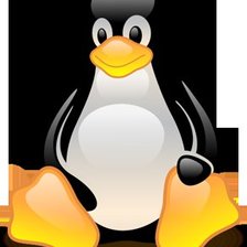 Схема вышивки «логотип Линукс»