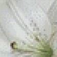 Предпросмотр схемы вышивки «белые лилии» (№1018662)