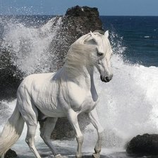 Схема вышивки «лошадь и море»