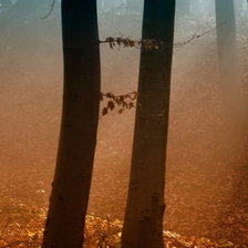 Схема вышивки «Осенний туман. Триптих ч.1»