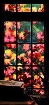 Осень за окном. Триптих ч.2 - в окне, триптих, за окном, листья, осень, окно - оригинал