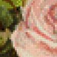 Предпросмотр схемы вышивки «розы» (№1030104)