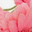 Предпросмотр схемы вышивки «розовые герберы» (№1030479)