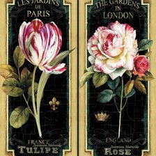 Схема вышивки «тюльпан и роза»