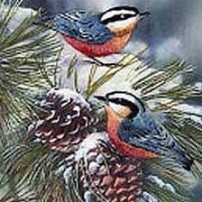 Схема вышивки «Зима. Птицы»