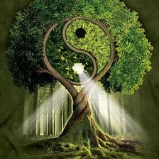 Схема вышивки «ИньЯнь Дерево»