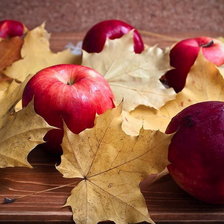 Схема вышивки «яблоки и кленовые листья»