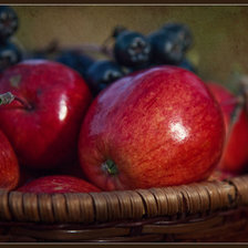 Схема вышивки «красные яблоки»