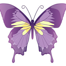 Схема вышивки «Сиреневая бабочка»