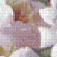 Предпросмотр схемы вышивки «Цветы» (№1063691)