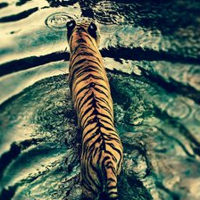 Схема вышивки «Тигр на озере»