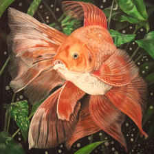 Оригинал схемы вышивки «Золотая рыбка» (№1086035)