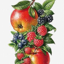 Схема вышивки «фрукты и ягоды на ветке»