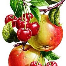 Схема вышивки «яблоки и вишни на ветке»