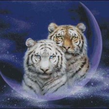Схема вышивки «Лунные тигр»