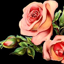 Оригинал схемы вышивки «розы» (№1098941)