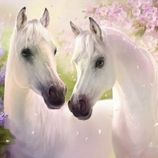 Схема вышивки «Прекрасные белые лошади.»