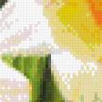 Предпросмотр схемы вышивки «цветы» (№1102775)