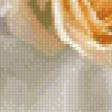 Предпросмотр схемы вышивки «розы» (№1105678)