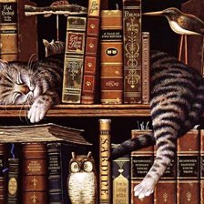 даже коты любят читать
