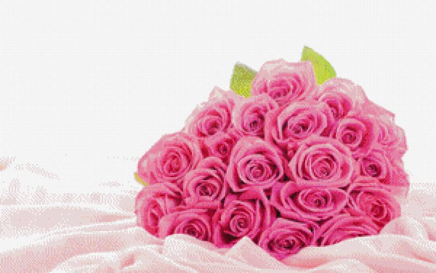 розы - красивые цветы, розы, цветы, букет роз, розовые розы - предпросмотр