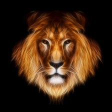 Схема вышивки «красавец лев»