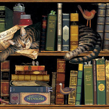 Схема вышивки «Коты и библиотека-3 (н)»