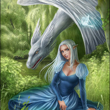 дракон и эльф