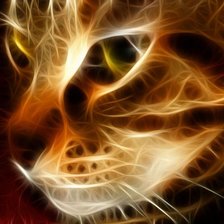 кошка-огонь