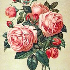 Оригинал схемы вышивки «цветы» (№1117957)