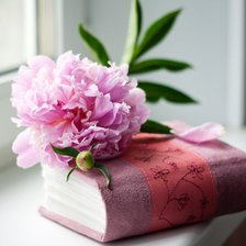 Схема вышивки «цветок и книга»