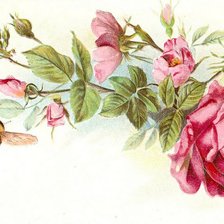 Оригинал схемы вышивки «Розы и шмель» (№1130216)