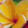 Предпросмотр схемы вышивки «экзотические цветы» (№1142787)