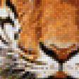 Предпросмотр схемы вышивки «тигр» (№1144272)