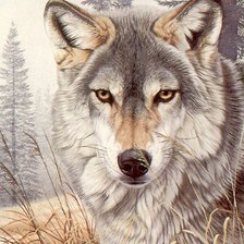 Оригинал схемы вышивки «Волк» (№1145189)