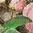 Предпросмотр схемы вышивки «Розовые розы» (№1153875)