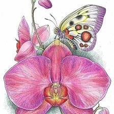 Схема вышивки «Орхидея и бабочка»
